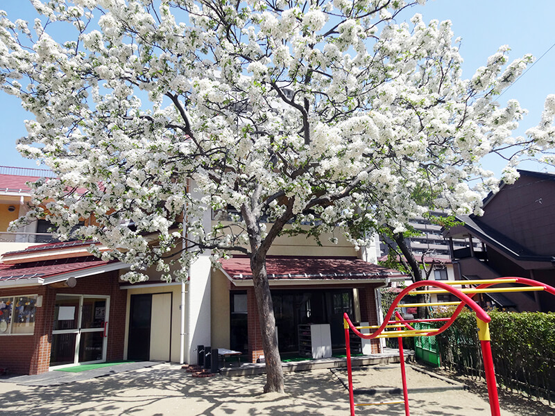 あから保育園外観